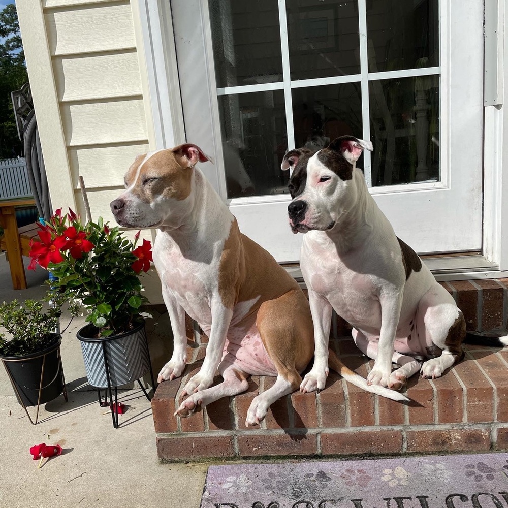 Meet your Posher, Susan